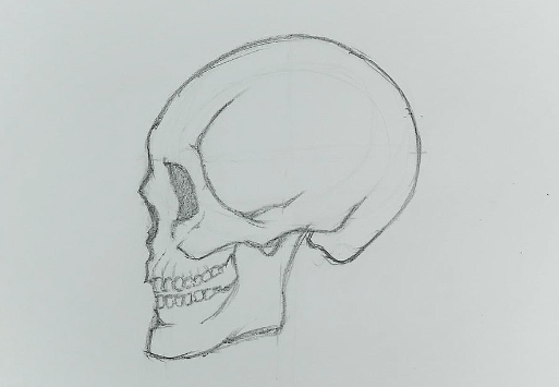 Drawing:Oldj_7nsvxk= Skulls