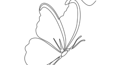 Drawing:Q5pbirjjkfa= Butterfly