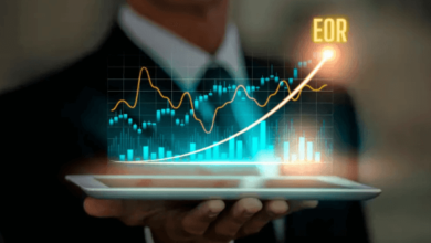 Elevating performance management and employee relations with an EOR