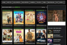 Hiidude Kannada Movie