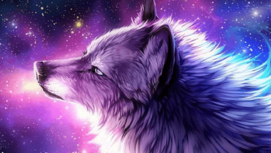 Galaxy:Fg38lov-Ebe= Wolf