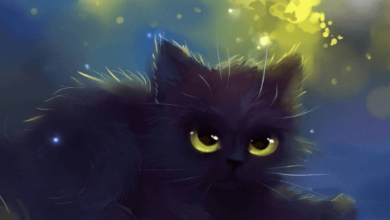 Kawaii:Mdxrjkgre8i= Cats