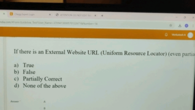 Chegg Expert Login
