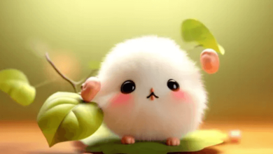 Wallpaper:Wlt1zjjr8ju= Cute Pictures