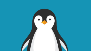 Clipart:Jekijno3fei= Penguin