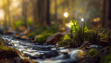 Desktop:5bvd_134gra= Wallpapers