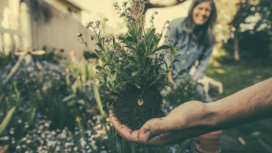 Planning and Executing Your Gardening Aspirations in 2024