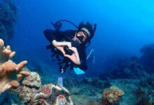 Liveaboard Diving