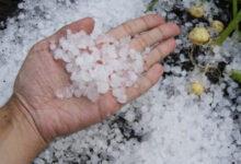 Hail Damage