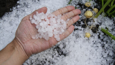 Hail Damage