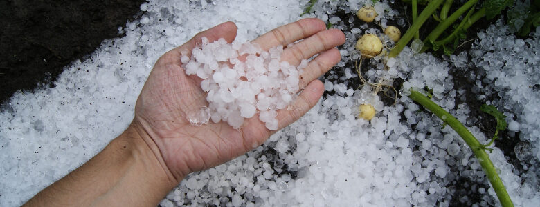 Hail Damage