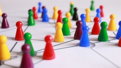 network strategy contact numbers