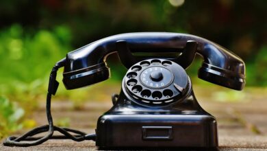 telecom fraud contact numbers