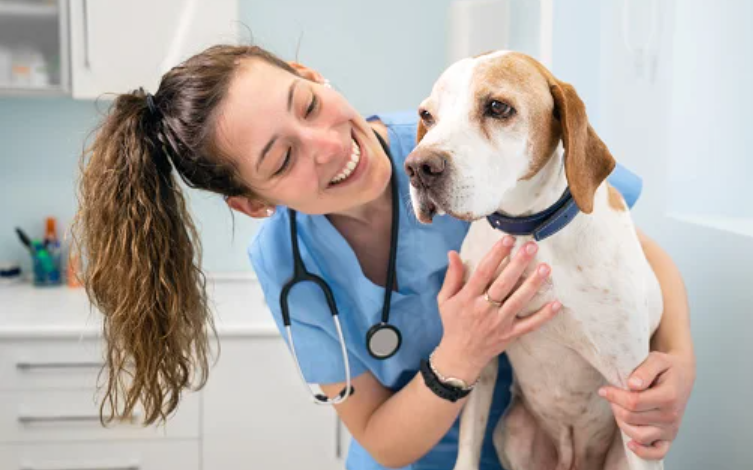 Your Trusted Veterinary Clinic for All Pet Needs