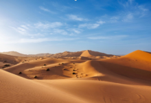 Exploring the Magic of Morocco: An In‑Depth Journey Through the Desert Landscapes Near Marrakech