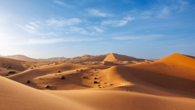 Exploring the Magic of Morocco: An In‑Depth Journey Through the Desert Landscapes Near Marrakech