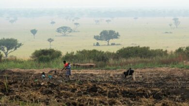 business growth performance metrics