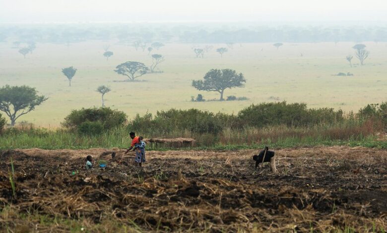 business growth performance metrics