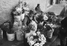 market operations overview report