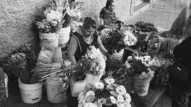 market operations overview report