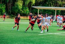 performance tracking for entities