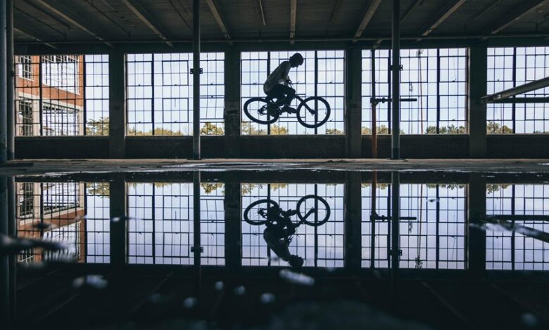 risk management strategies overview