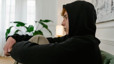 450wmiplamp model overview