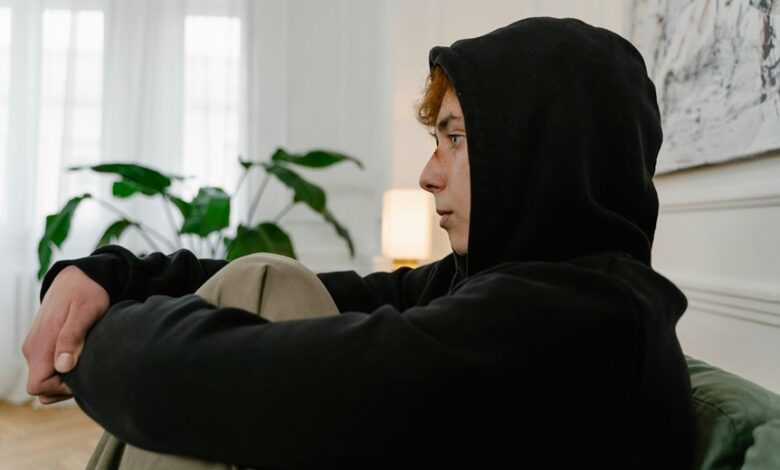 450wmiplamp model overview