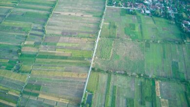 comprehensive evaluation of dk380c4 0 h8