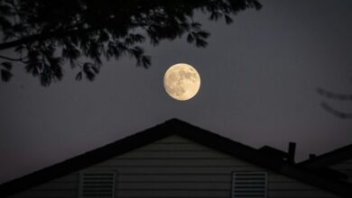 details about 25 7 9 zihollkoc