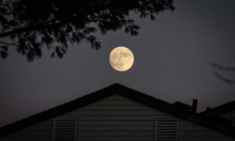 details about 25 7 9 zihollkoc