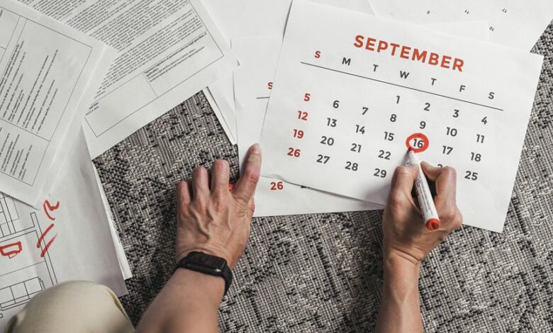 primiotranit review highlights performance