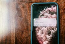 verify fraud check calls