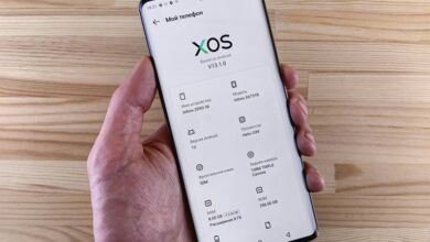 wezic model specifications outlined