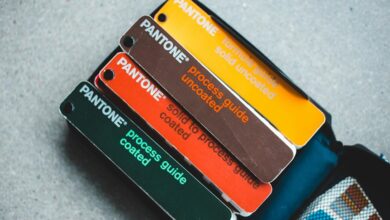 xevotellos model brand overview