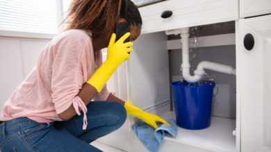 The Hidden Trouble Beneath Your Sink That You Should Never Ignore