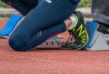 bold horizons across dynamic fields