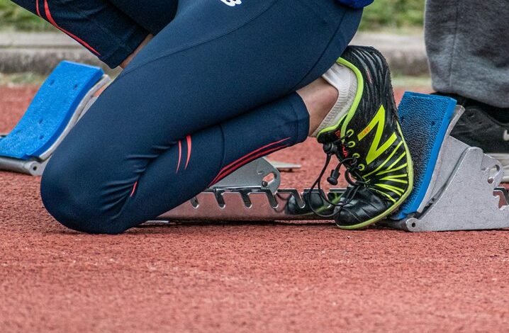 bold horizons across dynamic fields