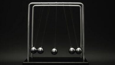 bold momentum across ventures