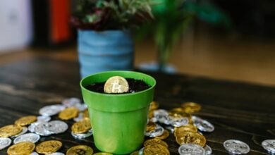 creative potential fueling growth