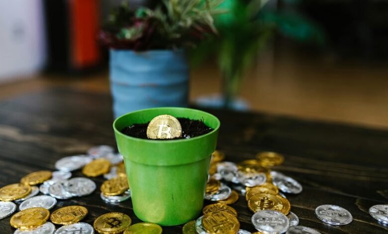 creative potential fueling growth