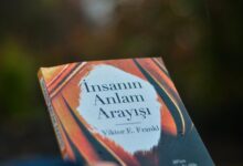 creativemomentum drives growth