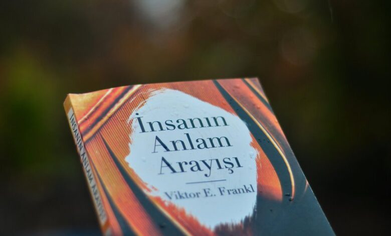 creativemomentum drives growth