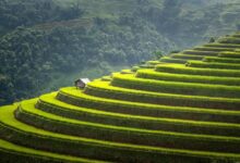 empowered steps start ventures