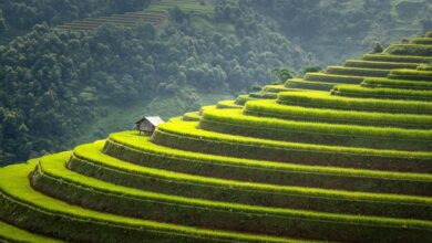 empowered steps start ventures