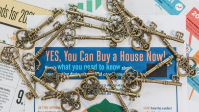 vision catalyst market opportunity start