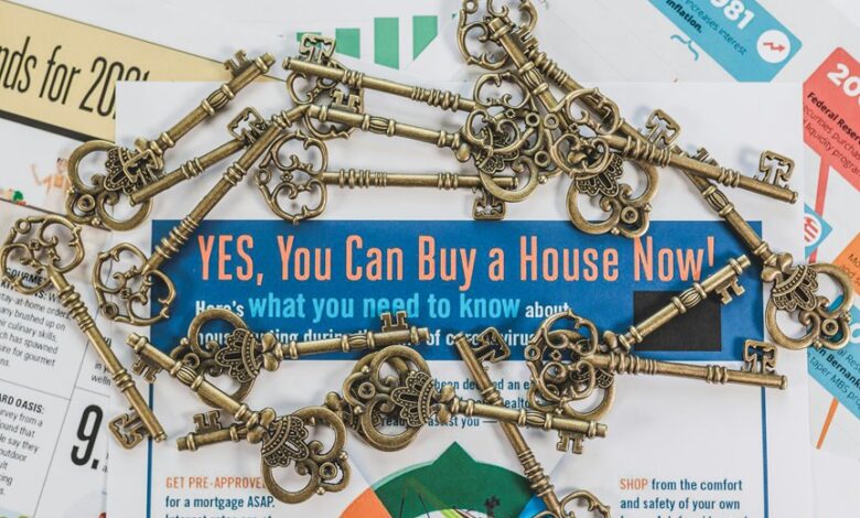 vision catalyst market opportunity start