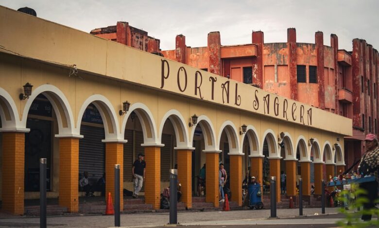 app discovery insight portal