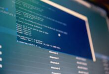 caller protection portal spam number lookup