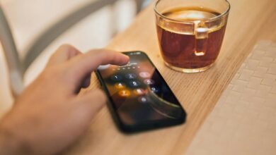 fraud awareness portal scam phone number check